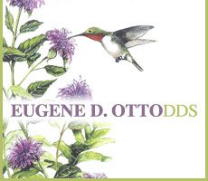 Eugene D. Otto DDS Inc.